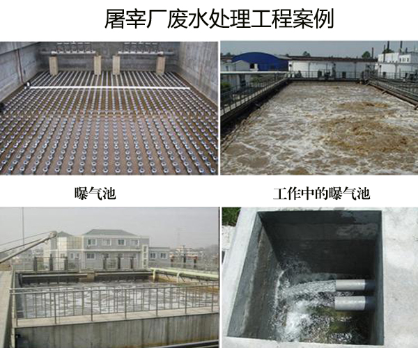 养殖污水处理