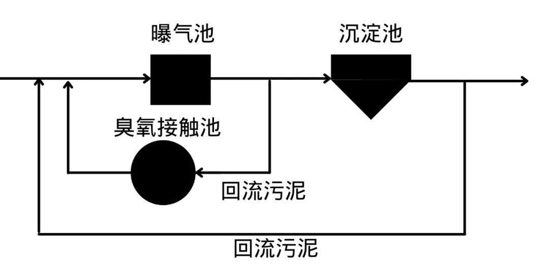 1628496914420044.jpg 640.webp (2).jpg