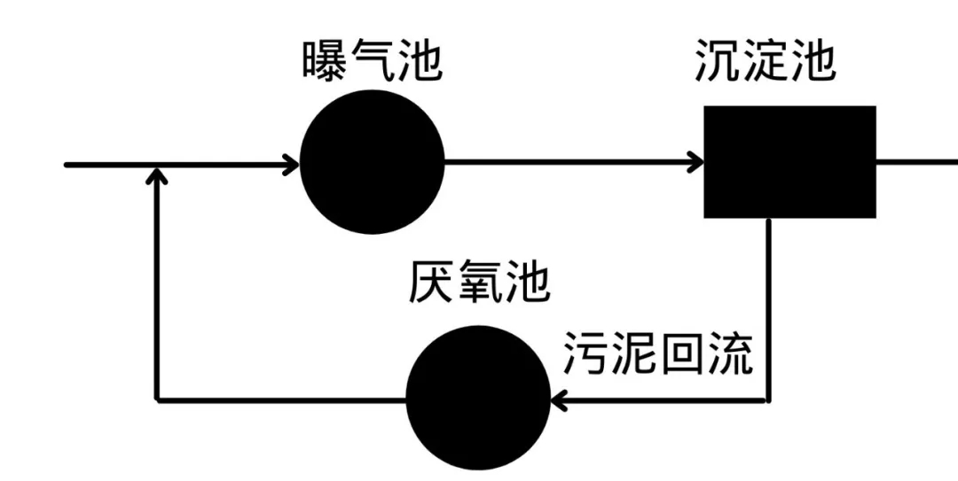 1628497008331079.jpg 640.webp (4).jpg